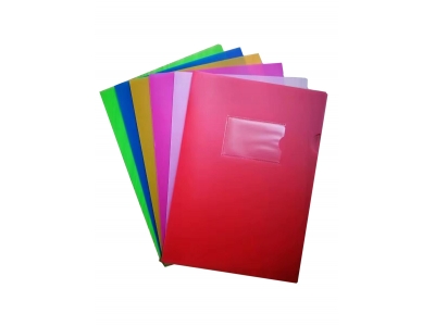 Bright Assorsted  L Shaped Folder       BDS1010