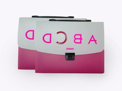 Portable accordion case BDS4018_4019